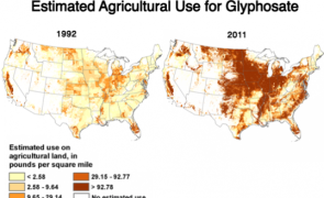 Via the U.S. Geological Survey
Use of the herbicide glyphosate, known by the brand name Roundup, has expanded since 1992, according to U.S. Geological Survey records. Genetically modified "Roundup Ready" soybeans, which allow farmers to kill weeds without killing the crop, became available in 1994.